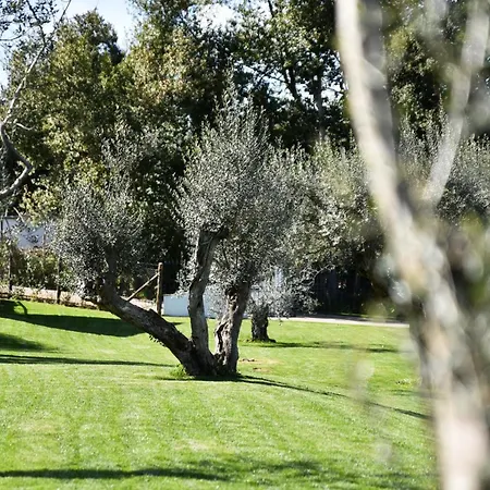 Vigna Caio Relais & (adults Only) Hotel *