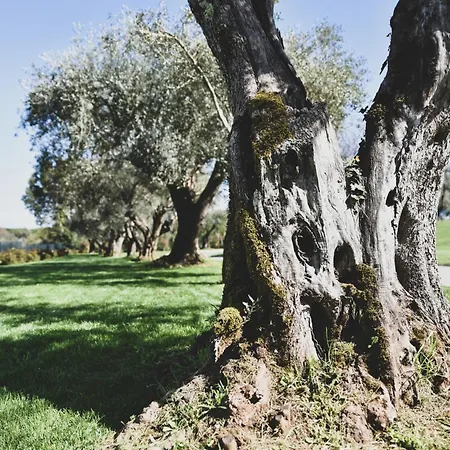 Vigna Caio Relais & (adults Only) Szálloda *