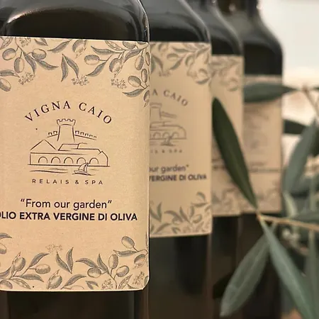 Vigna Caio Relais & (adults Only) 브라치아노
